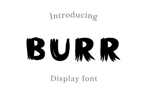 Burr: The Bold Display Typeface for Modern Web Design