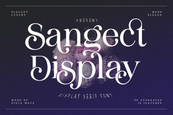 Sangect Display: A Bold Serif Font for Dramatic Branding